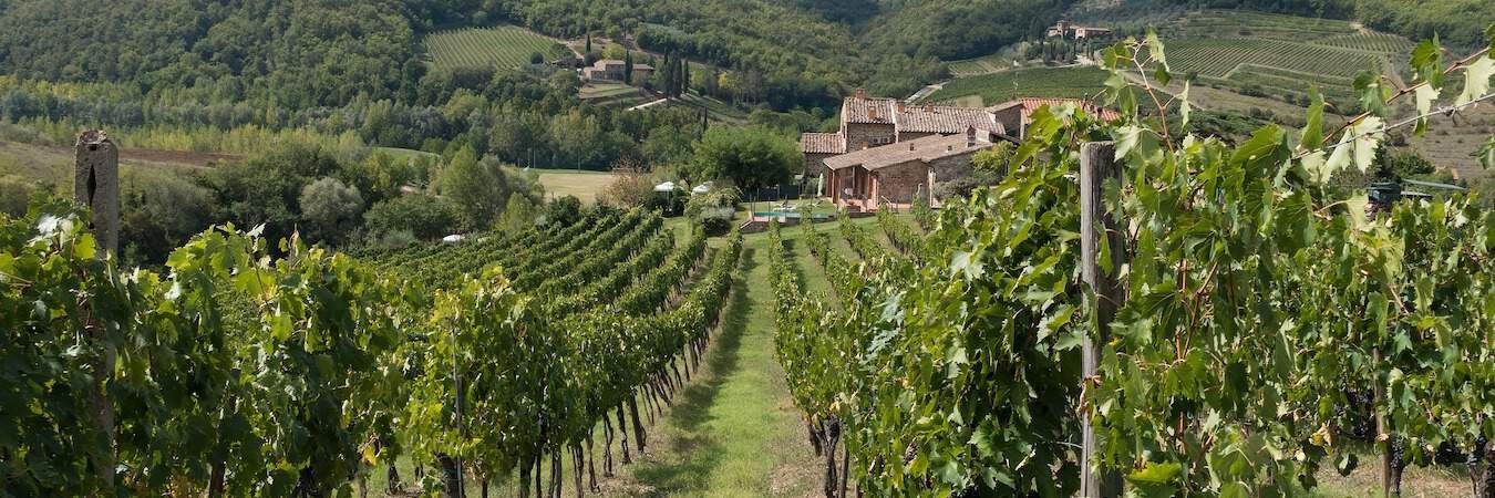 ZAffiro Viagens - Wine and Food Itália