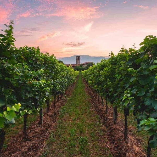 Franciacorta