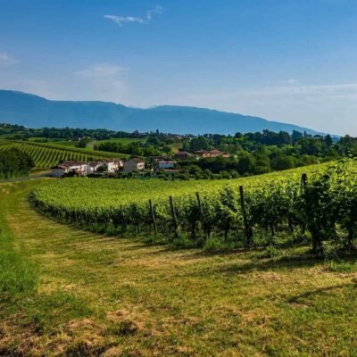 vinho foto free license fhd