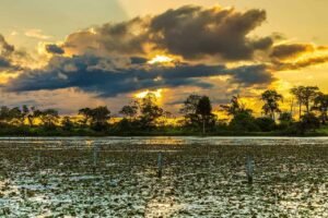 pantanal mato grosso por do sol turismo sustentavel brasil credits filipefrazao